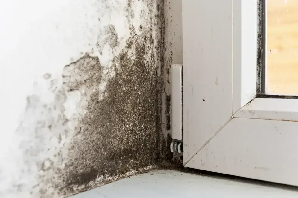 Our Commitment To Local Property Recovery